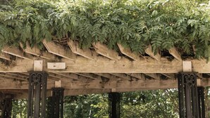 Eine hölzerne Pergola mit Sitzgelegenheit, umgeben von üppigem Grün.