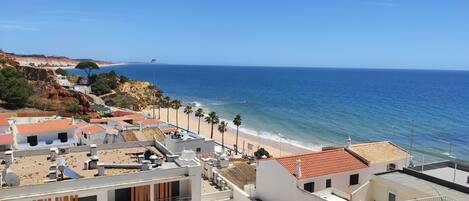 Playa en los alrededores