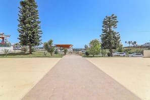 A paved walkway leading to a building with a modern design, surrounded by tall trees and parked cars.
