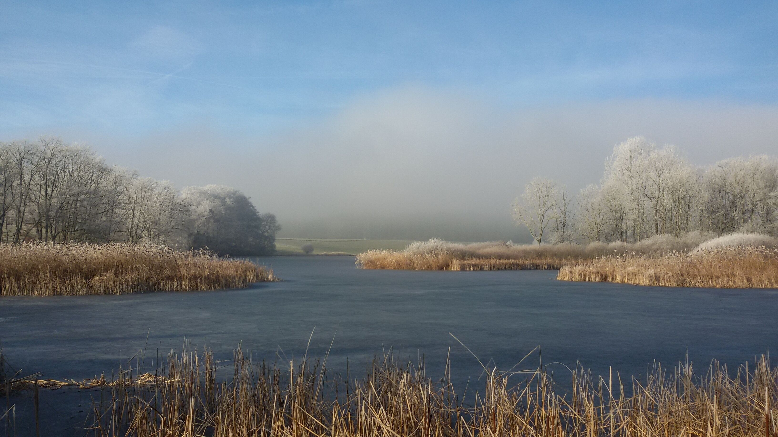 A frozen river with trees on either side.