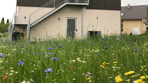 Ein zweistöckiges Gebäude mit Balkon, umgeben von einem Feld mit Wildblumen.