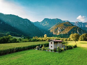 Esterni