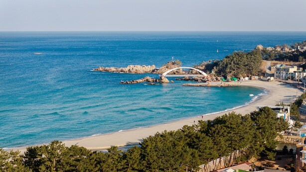 A coastal town with a beach, a white bridge, and buildings along the shore. - Samcheok Lamer Pension (Samcheok)