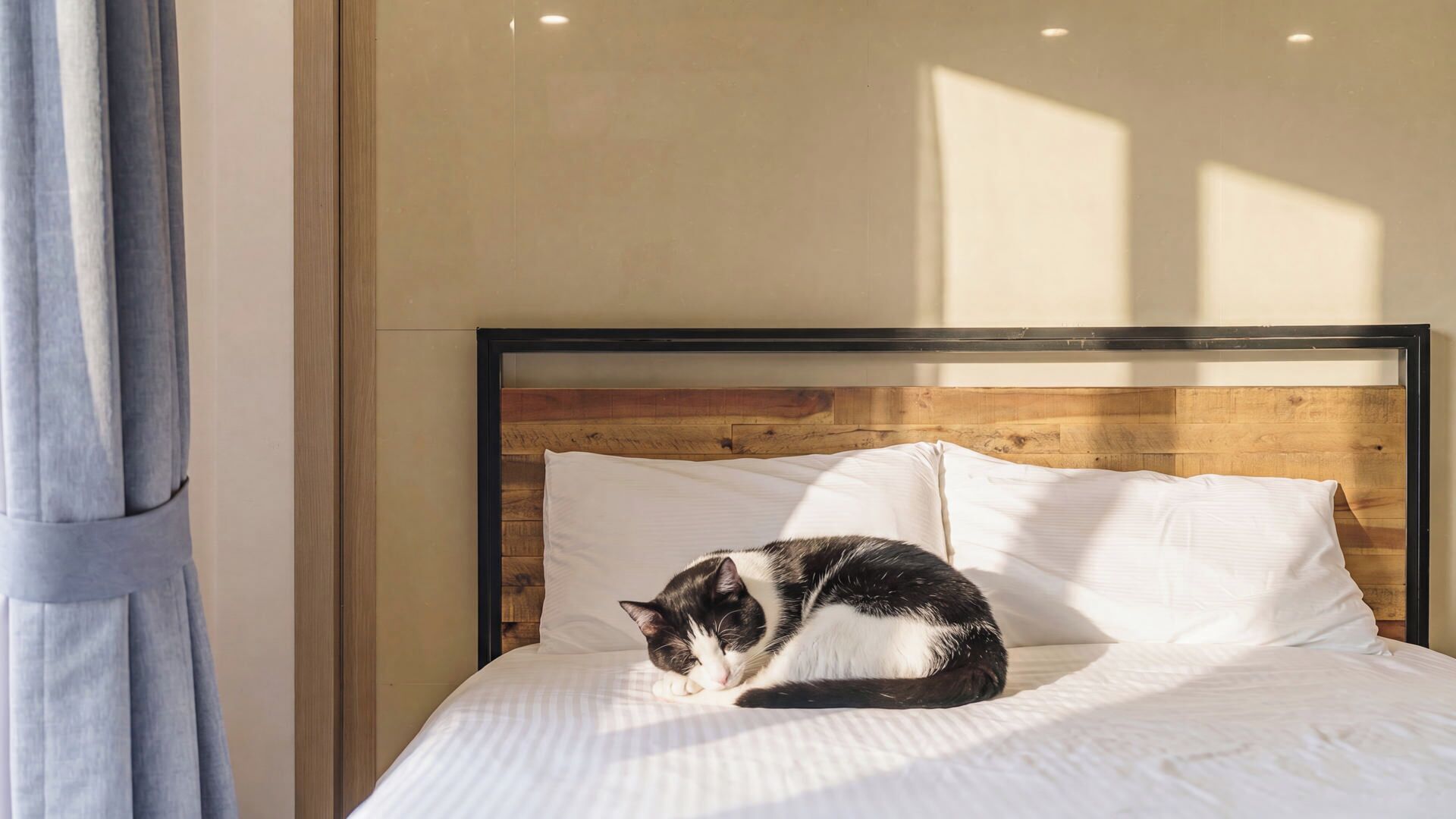 1 chambre, Wi-Fi gratuit