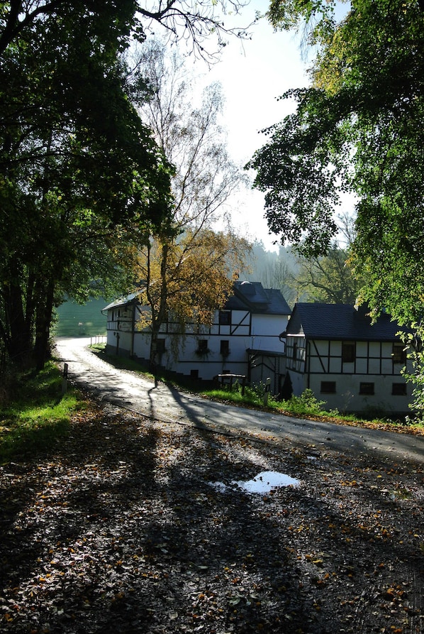 A traditional half-timbered building with a dirt path leading to it, surrounded by trees.