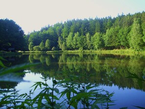 Uklassifisert bilde, 5 av 42, knapp