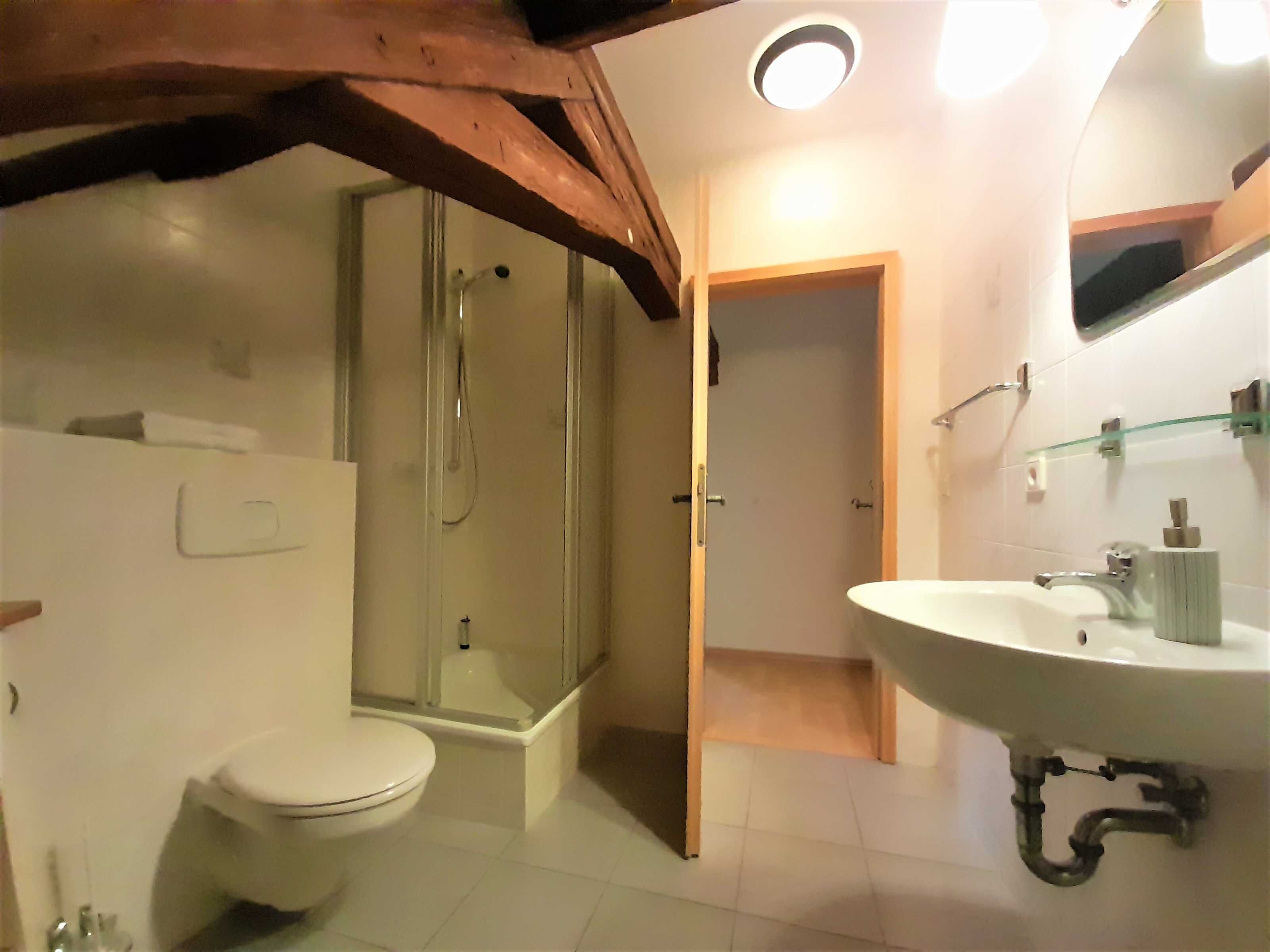 A bathroom with a toilet, shower, and sink.