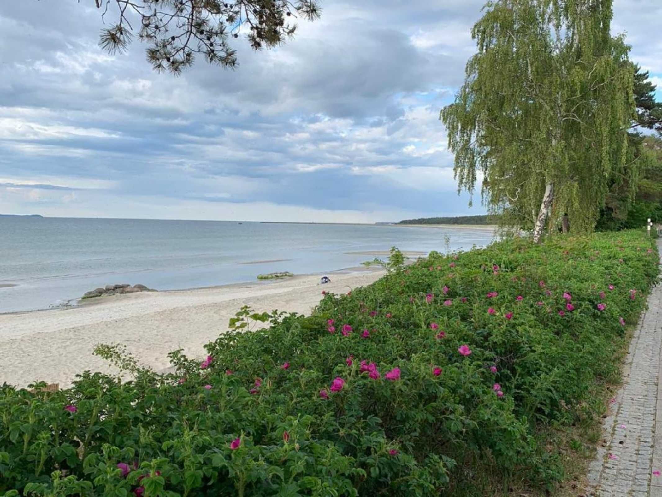 Playa en los alrededores 