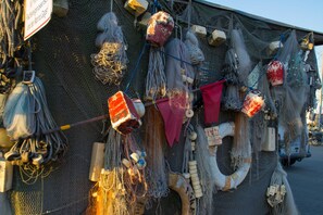 Unclassified image, 2 of 20, button