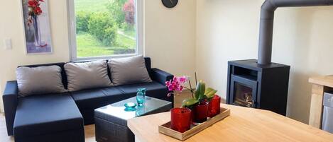 Télévision, cheminée