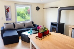 Fernseher, Kamin