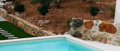 A swimming pool with a stone border, surrounded by a landscaped garden with small trees and shrubs.