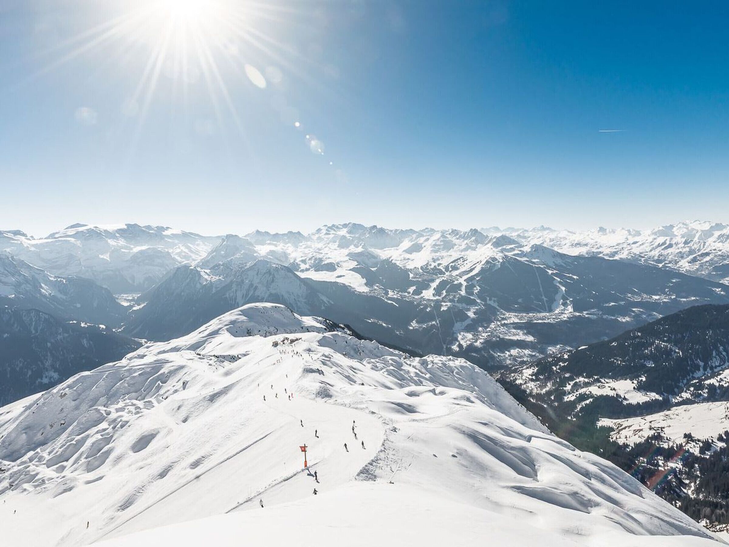 Sneeuw- en skisporten