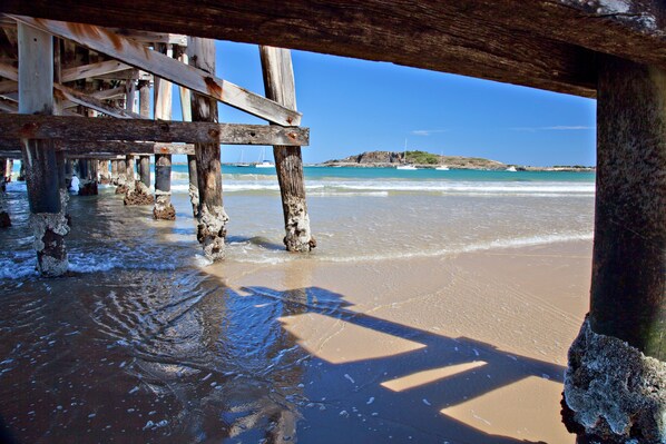 Sun loungers - PALM SPRINGS – 2 BED + POOL – COFFS HABOUR (Coffs Harbour)