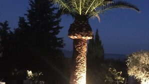 Uma palmeira com uma fonte de luz na base, rodeada por outras árvores e um céu claro.