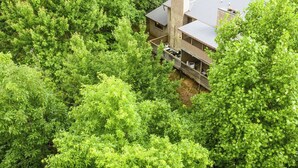 A two-story building surrounded by dense green foliage. - THE IRIS @ DOLLYS DRIVE * Wifi Grill Woods Mtns (Sevierville)