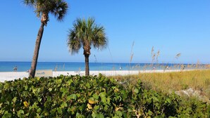 Ein Strand mit Palmen und blauem Himmel.