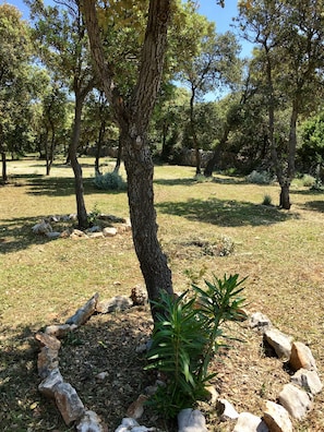 Terrain de l’hébergement