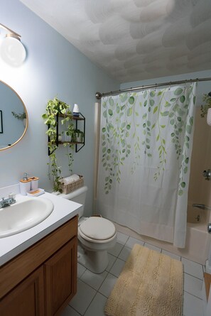 Combined shower/bathtub, hair dryer, towels, soap