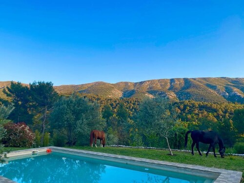 Magnificent Mas noble with top-of-the-range amenities on huge property.