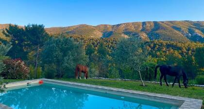 Magnificent Mas noble with top-of-the-range amenities on huge property.