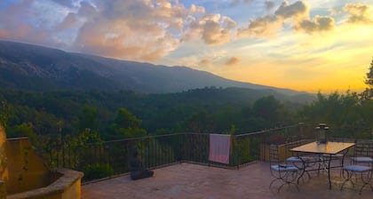 Magnificent Mas noble with top-of-the-range amenities on huge property.