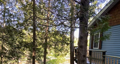 Family-friendly cottage right on Drag River