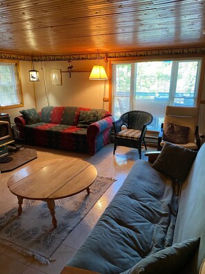 Smart TV, fireplace, DVD player, books