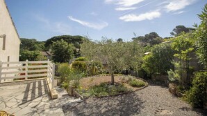 A courtyard with a gravel path, a small tree, and various plants. - Large Spacious House In Fréjus (Fréjus)