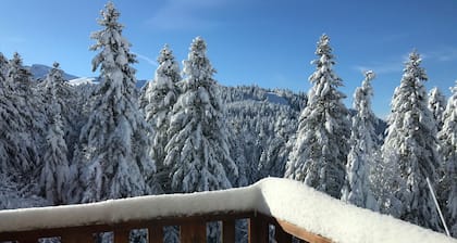 Duplex Rocher du Cerf n°16 PDR