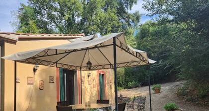 House Elfo in Maremma with pool