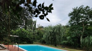 Ein rechteckiger Pool mit Fliesenbord, umgeben von üppiger Vegetation und Bäumen.