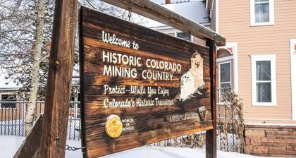 12Private Room with Kitchen Dog Friendly Leadville