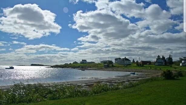 A coastal landscape with a body of water, grassy areas, and several buildings in the background. - Seaside Cottage in Beautiful Charlo’s Cove (Charlo's Cove)
