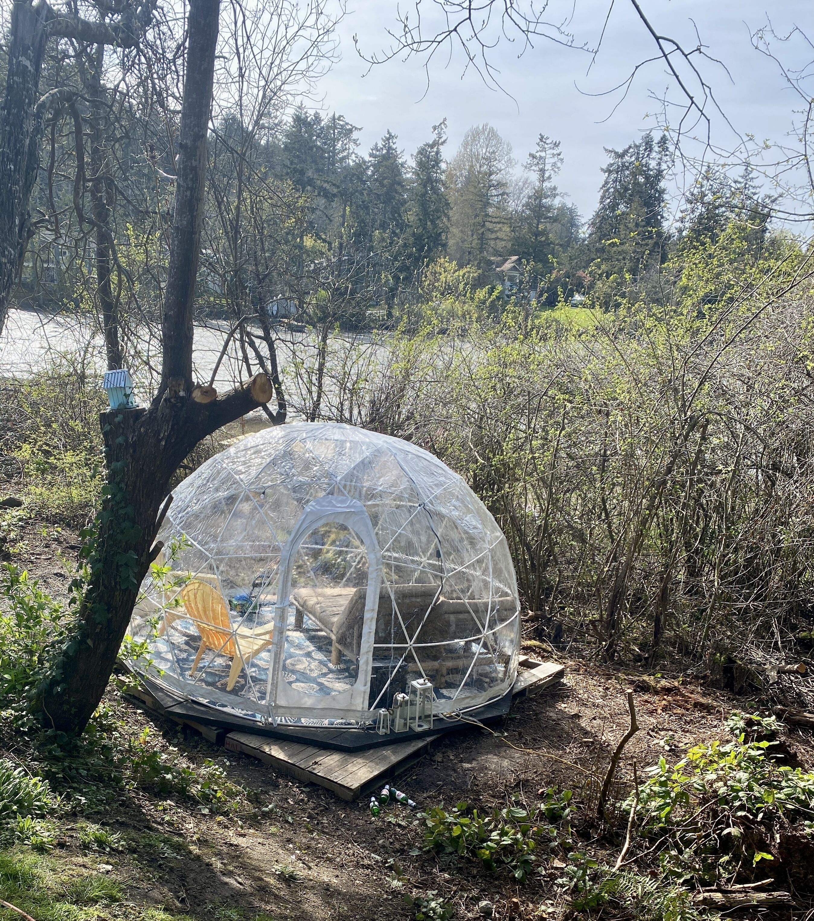 A transparent dome structure with a wooden platform, surrounded by trees and bushes.