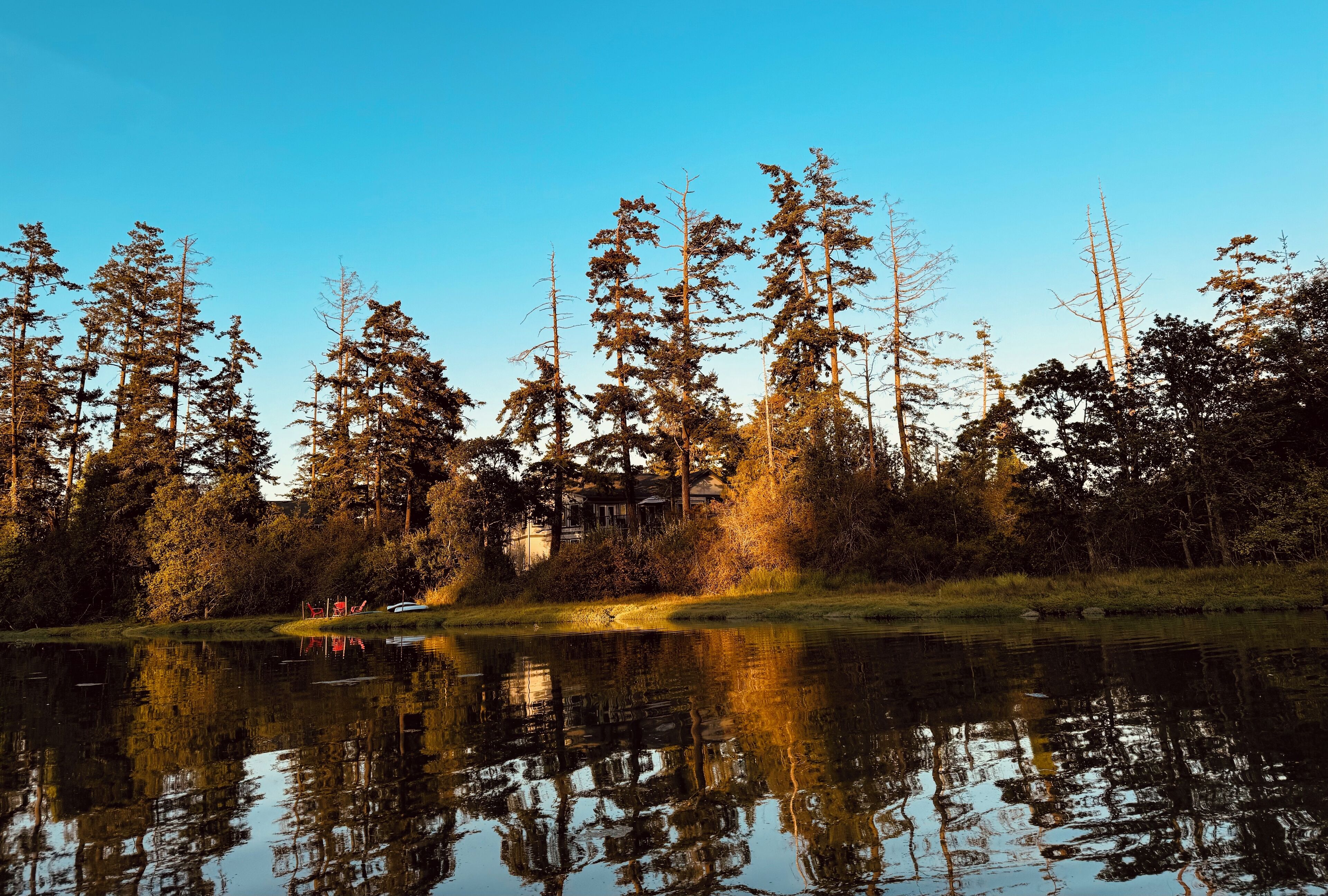 Ulkopuoli