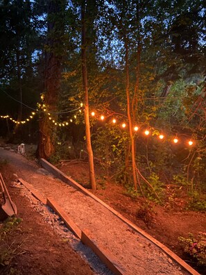 Walk through the serene forest along a winding pathway lined with twinkling lights.