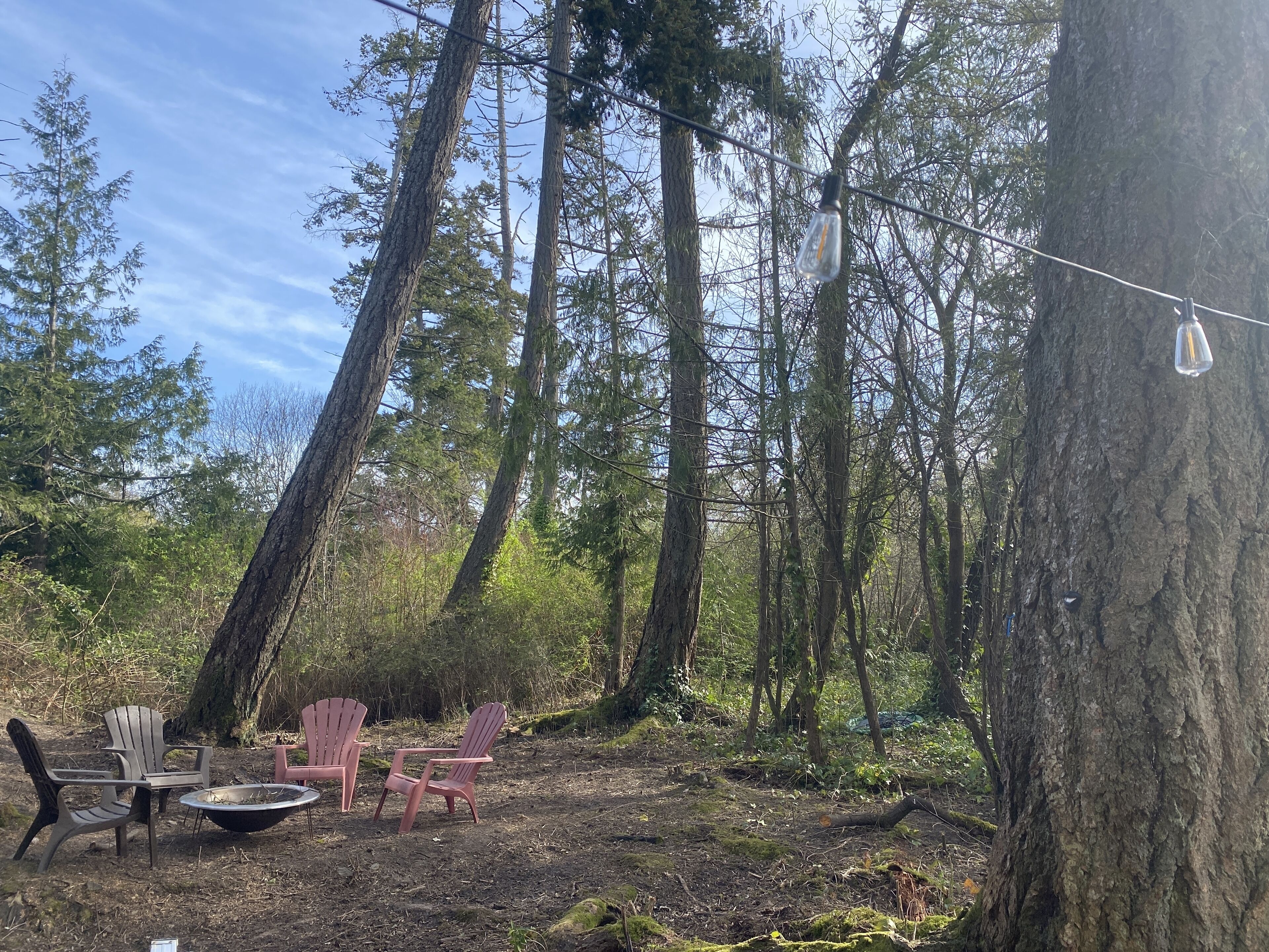 En skovlejr med Adirondack-stole, bålsted og lyskæde.