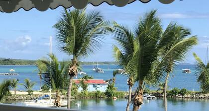 MAGNIFICENT T4, overlooking the lagoon of St François