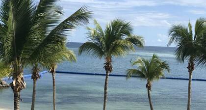 MAGNIFICENT T4, overlooking the lagoon of St François