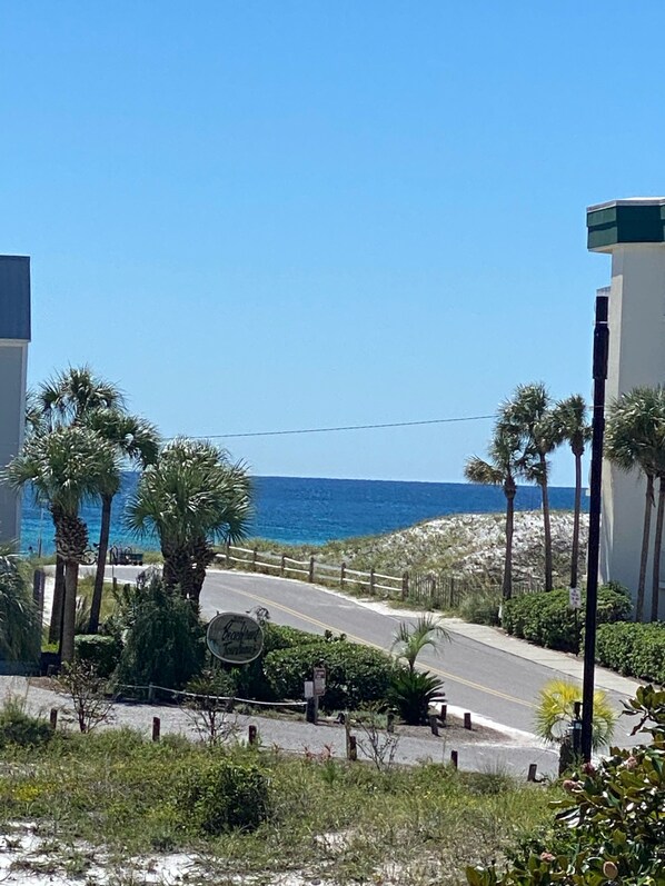 A coastal road with palm trees, a sign for 'Cabrillo Coast Highway', and a view of the ocean. - Gulf View - Steps away from beach entrance, heated pool and spa all year long. (Santa Rosa Beach)