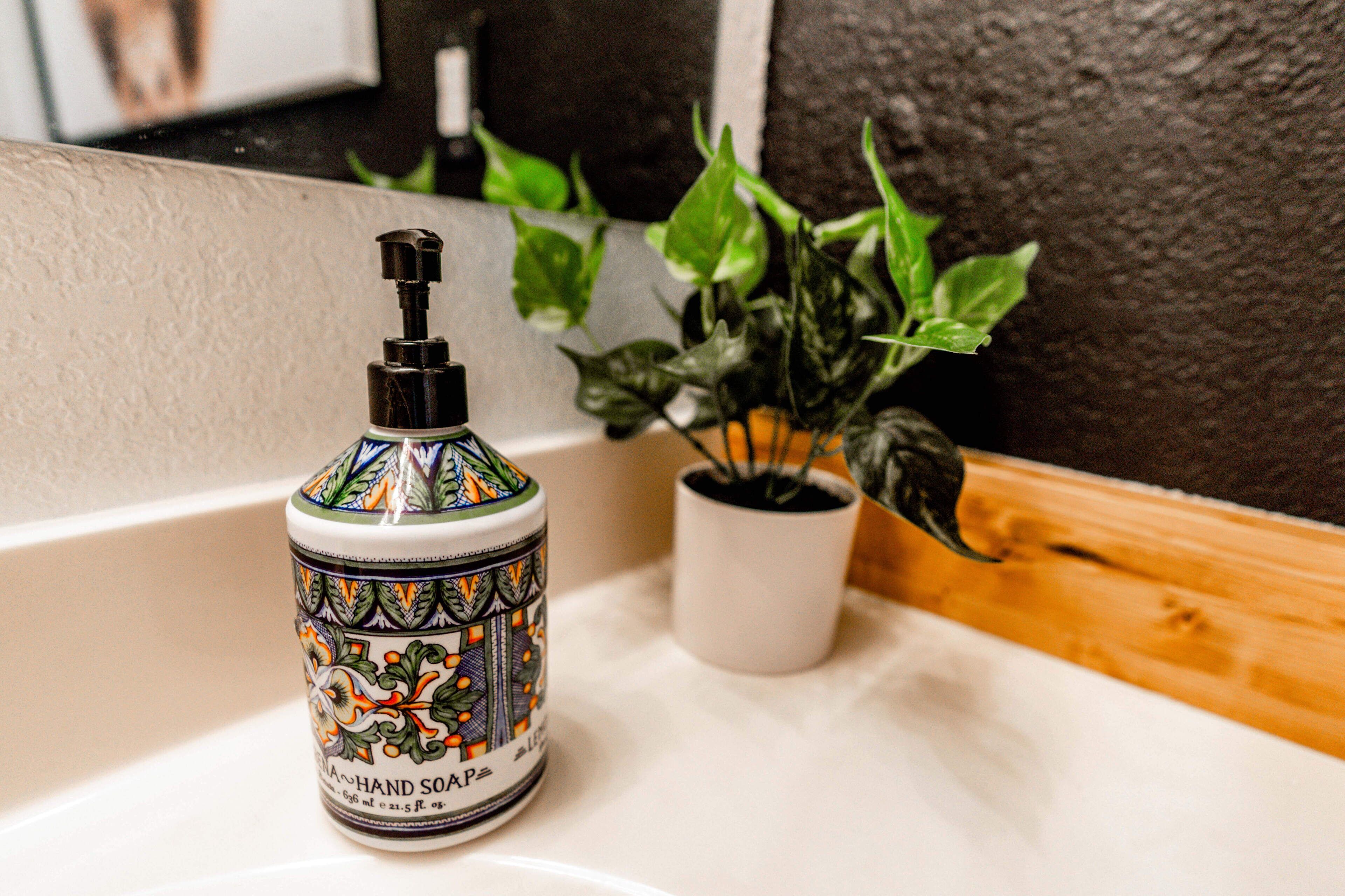 A bottle of hand soap on a bathroom counter next to a potted plant.