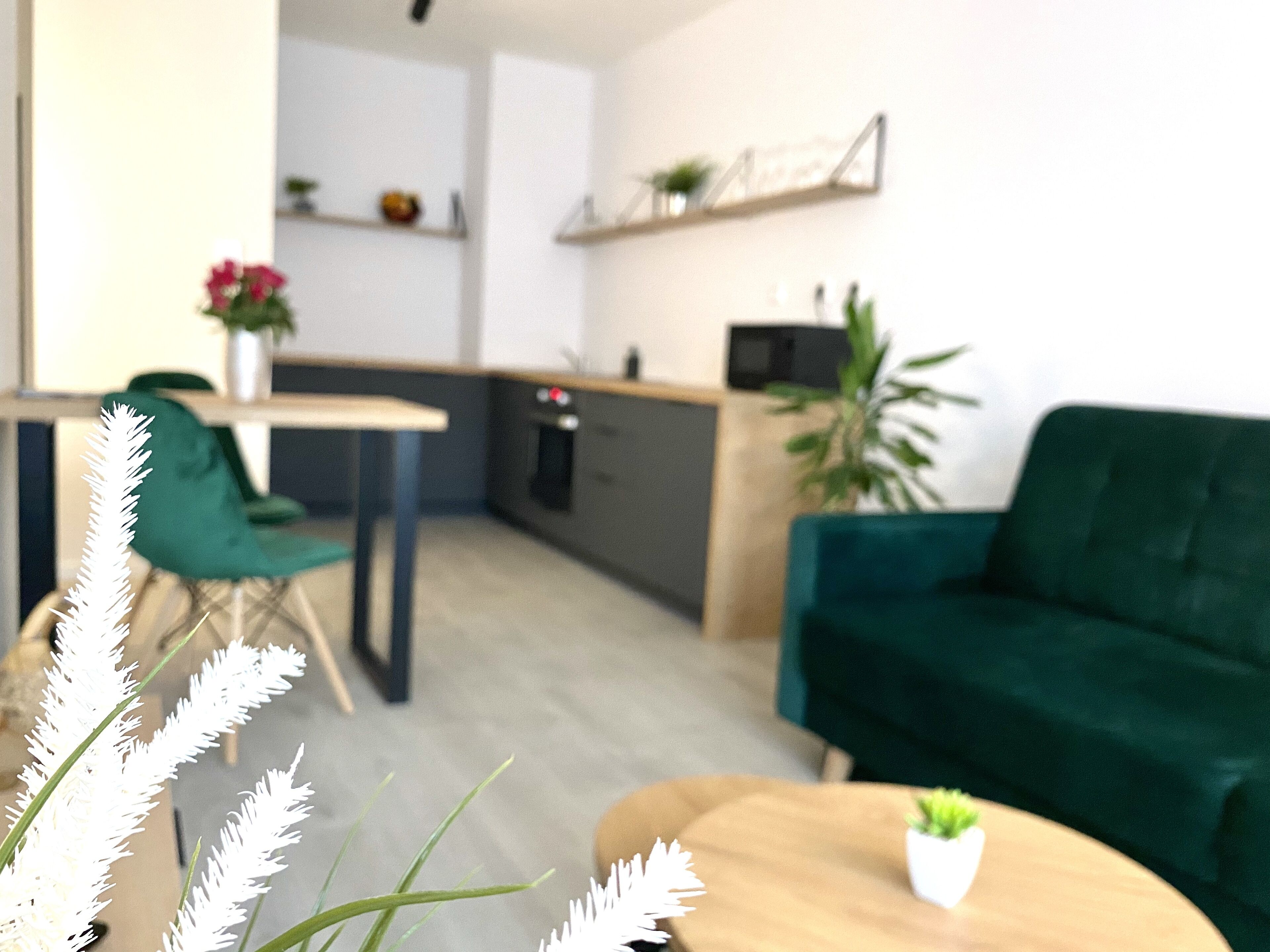 Een moderne keuken met een eethoek, een groene bank en een kleine tafel met een plant.
