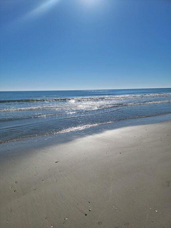 Playa en los alrededores y camastros