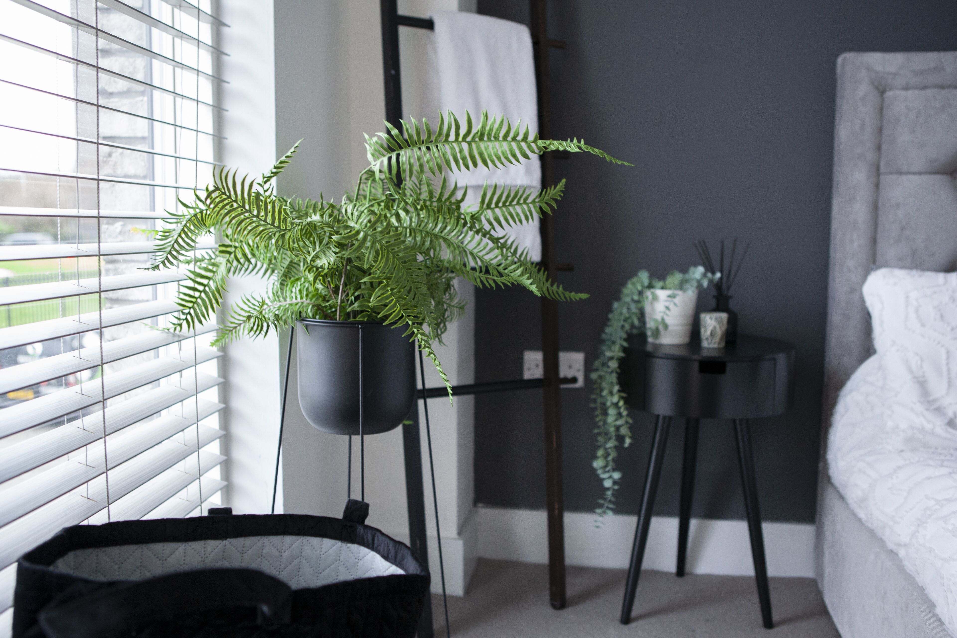 Modern City centre apartment. Roof top garden