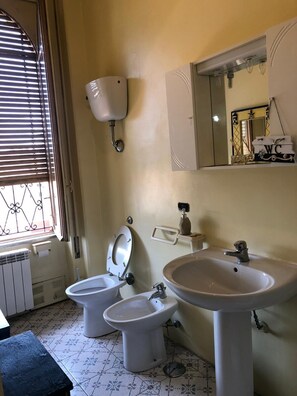 Een douche, een haardroger, een bidet, handdoeken