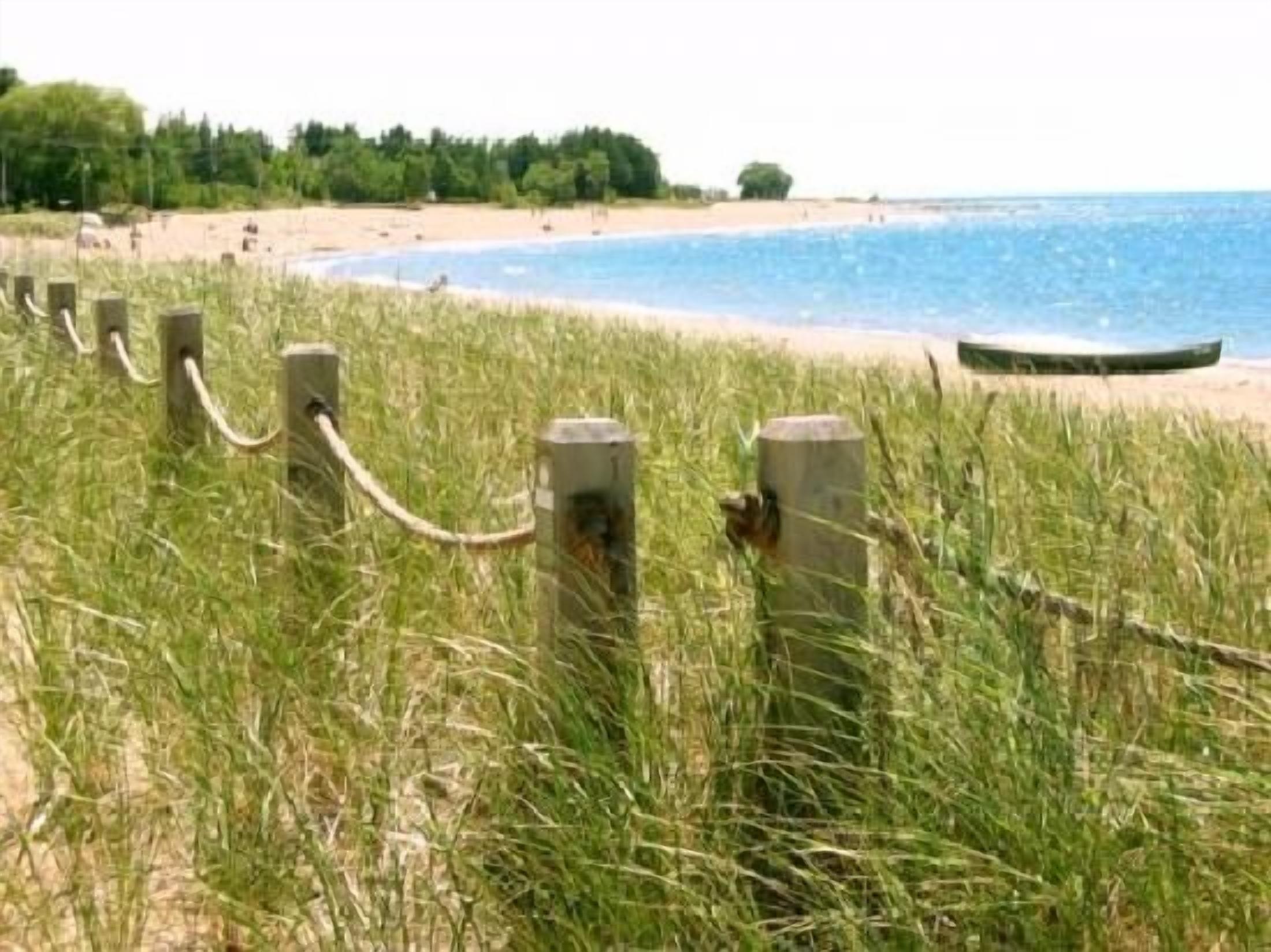A beach with a grassy area and a wooden fence.