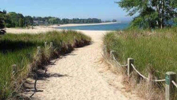 A sandy pathway leading to a beach with a clear view of the ocean and trees in the background. - Driftwood Haus (Saugeen Shores)
