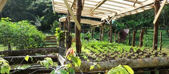 Peaceful guest cottage nestled between two rivers with kitchen and bath