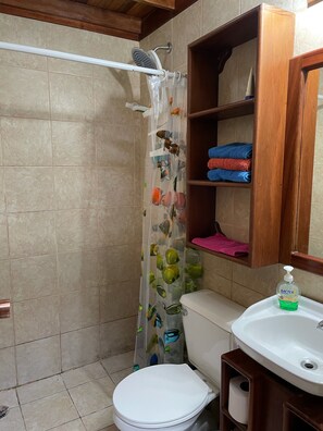 Shower, hair dryer, towels, soap